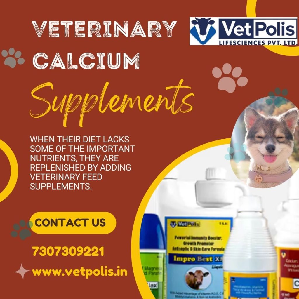 Benefits of Veterinary Calcium Supplements